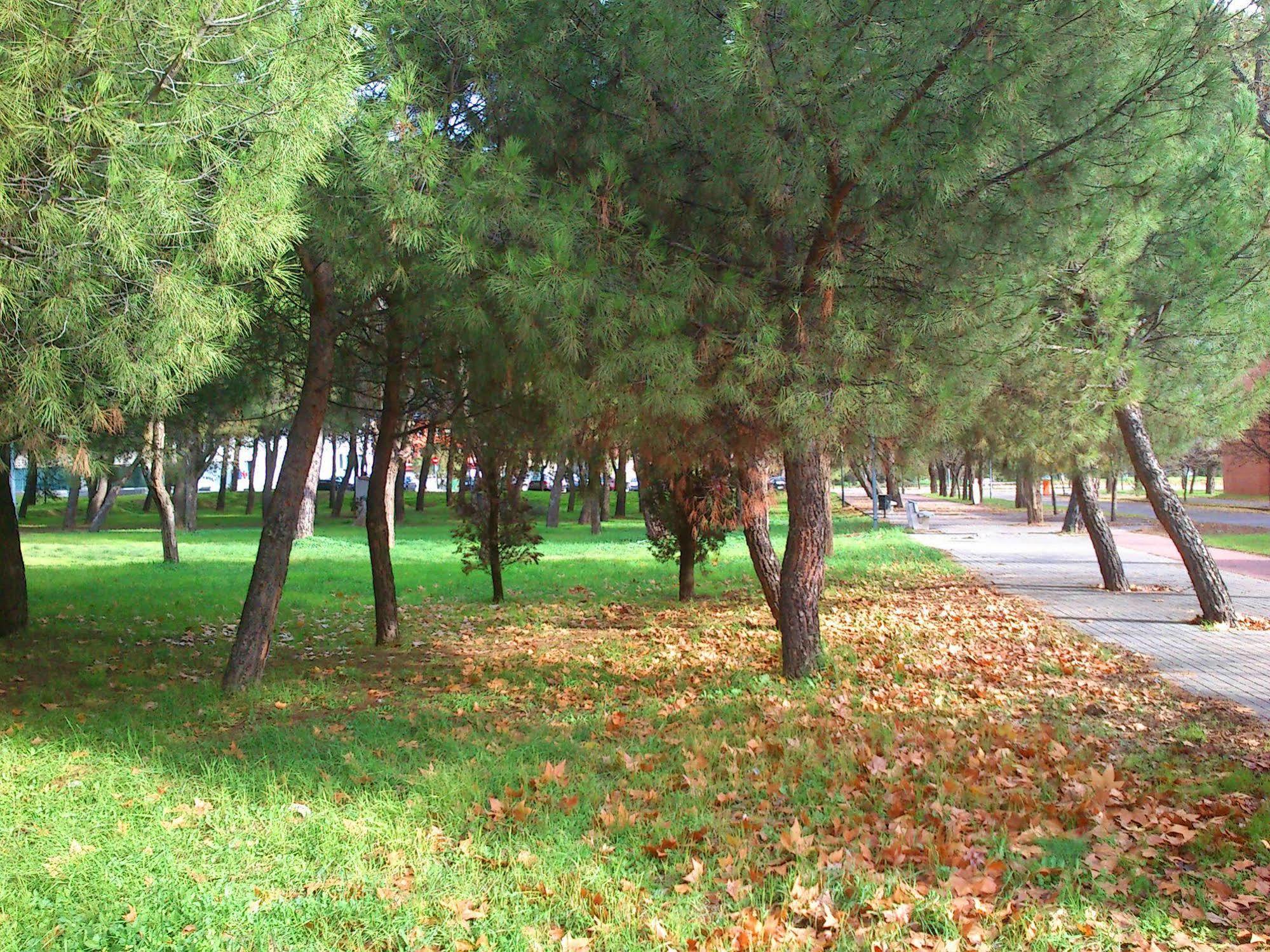Residencia Universitaria Resa Giner De Los Rios Алькала-де-Энарес Экстерьер фото